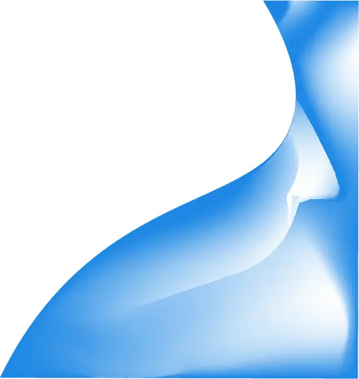 AlternaPOS Logo